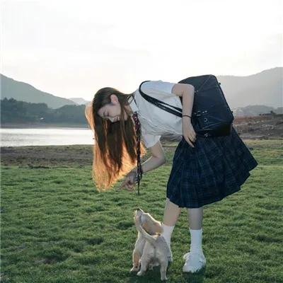 妙探机灵狗
